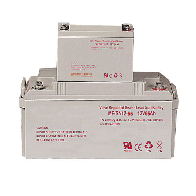 阀控密封式铅酸/胶体免维护蓄电池